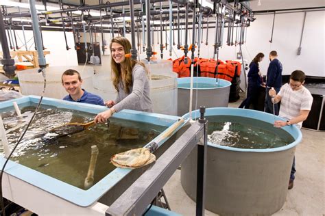 maryland colleges marine science